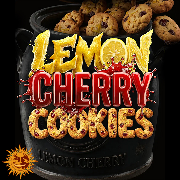 Barneys Farm Seeds AUTO Lemon Cherry Cookies