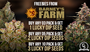Barneys Farm Freebies