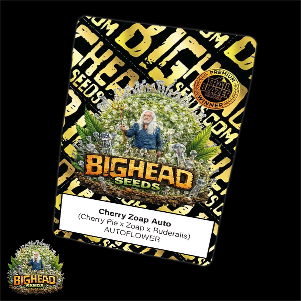 Bighead Seeds Trailblazer Line Cherry Zoap Auto