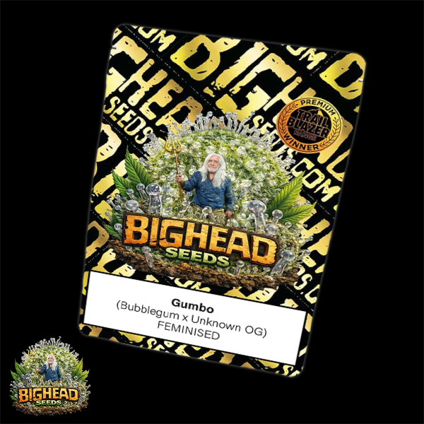 Bighead Seeds Trailblazer Line Gumbo