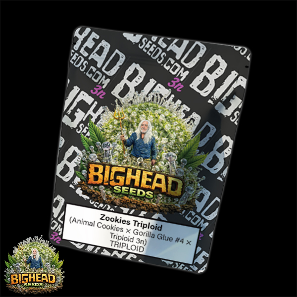 Bighead Seeds Triploid Line Zookies