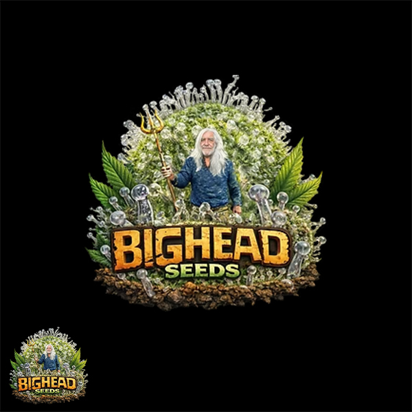 Bighead Seeds Trailblazer Line Arctic Cherries