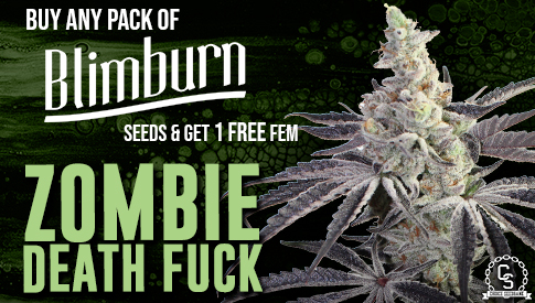BlimBurn Zombie Death Fuck