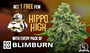 Blimburn  Hippo High