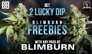 Blimburn Lucky Dip