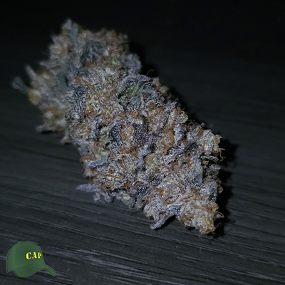 Capulator Seeds F3Z