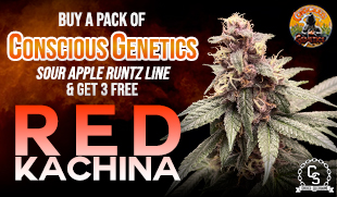 Conscious Genetics Red Kachina