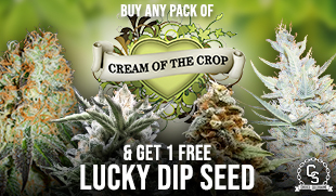 Cream of the Crop Lucky Dip