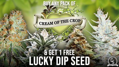 Cream of the Crop Lucky Dip