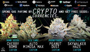 Crypto Promo