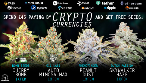 Crypto Promo