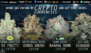 Crypto