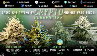 Crypto