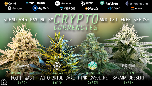 Crypto