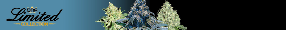 DNA Genetics Seeds Limited Collection