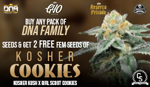 DNA Family Kosher Cookies