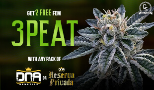 DNA 3Peat