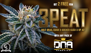DNA 3Peat
