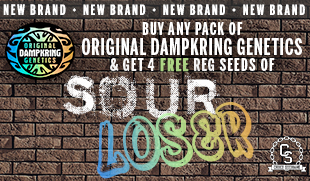 Dampkring Genetics Sour Loser