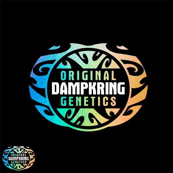 Original Dampkring Genetics Sour Loser Promotion