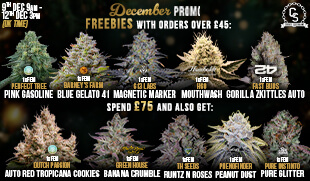 December Promo