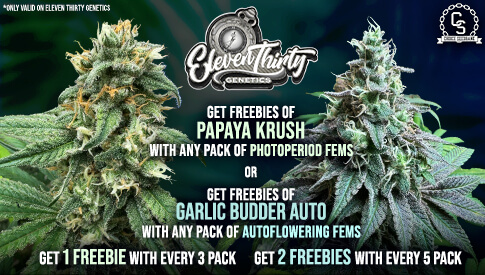 Eleven Thirty FREEBIES