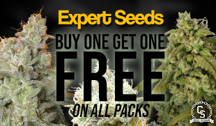 Expert Seeds Buy One Get One Free