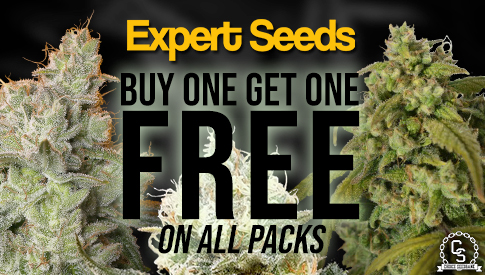 Expert Seeds Buy One Get One Free