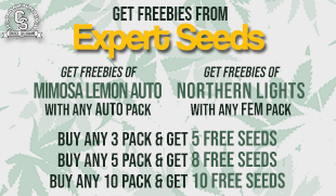 Expert Seeds Freebies