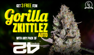Fast Buds Gorilla Zkittlez Auto