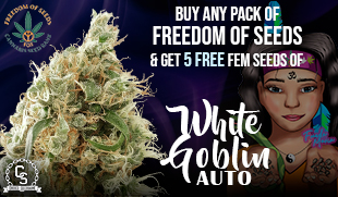 Freedom Of Seeds White Goblin Auto