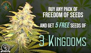 Freedom Of Seeds - 3 Kingdoms