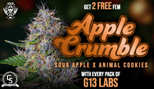 G13 Labs Apple Crumble