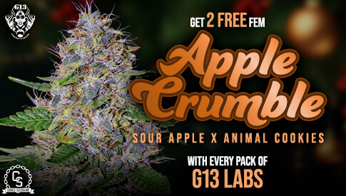G13 Labs Apple Crumble