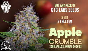 G13 Labs - Apple Crumble