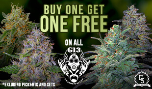 G13 BOGOF