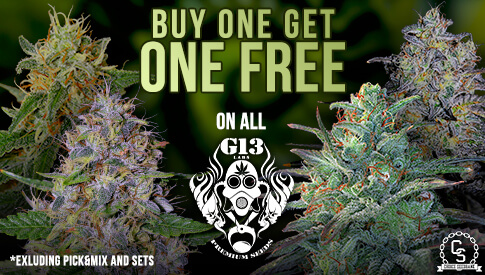 G13 BOGOF