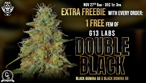 G13 Double Black Black Friday