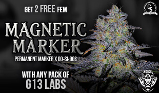 G13 Magnetic Marker