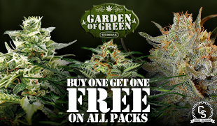 Garden of Green Buy One Get One Free