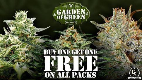 Garden of Green Buy One Get One Free