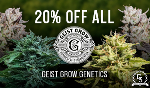 Geist Grow Genetics 20% off all