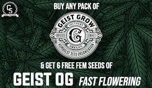 Geist Grow Geist OG Fast