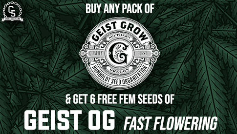 Geist Grow Geist OG Fast