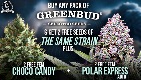 Greenbud 2 Same Strain plus 4 Free Seeds