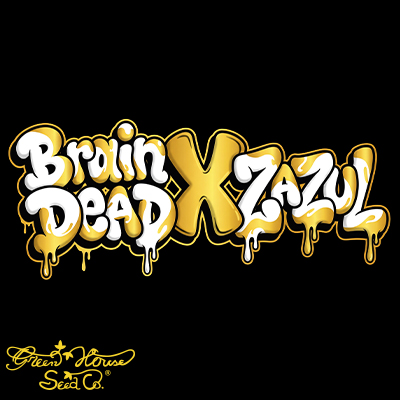 Green House Seeds Braindead OG × Zazul