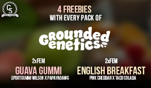 Grounded Genetics Freebies