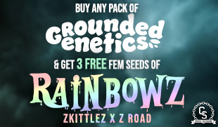 Grounded Genetics Rainbowz