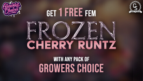 GrowersChoice Frozen Cherry Runtz OCT