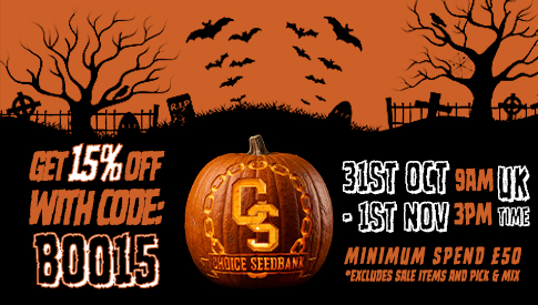 Halloween Promo - 15% off
